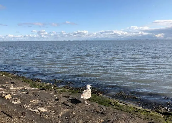 Wilhelms Havenkoje - Gemuetliches Innenstadtappartment *